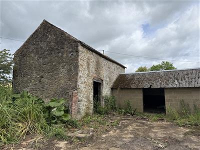 Picture 20